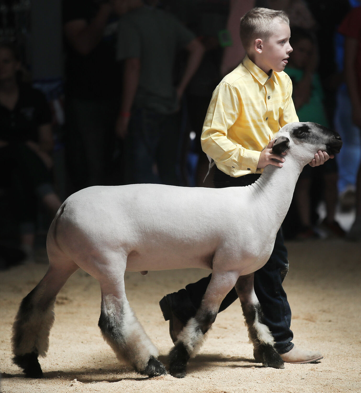 JVG_220729_FAIR08.jpg